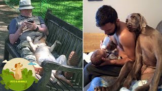 15 Photos To Prove That Nothing Ever Beats Dogs’ Love by Top Animals Story 439 views 3 years ago 5 minutes, 14 seconds