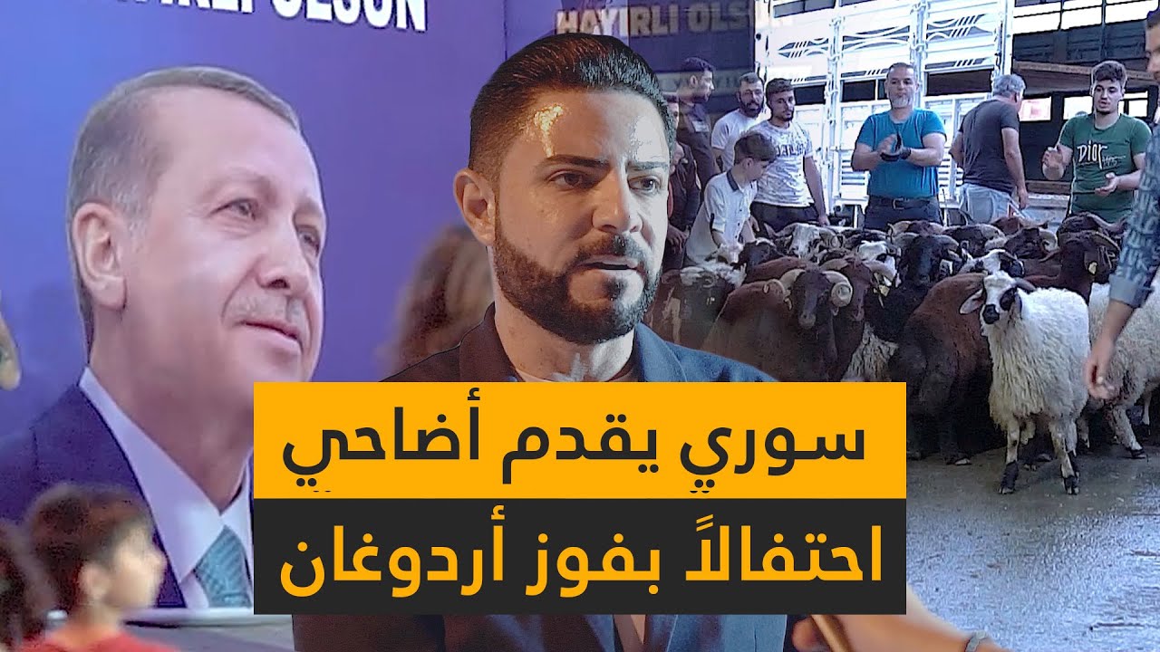 رجل أعمال سوري يضحي بـ100 رأس غنم احتفالاً بفوز أردوغان