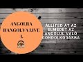 Hogyan állítsd át az elmédet az angolul való gondolkodásra? - Angolra Hangolva Live I.