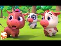 Cinco Pequenas Vacas Musica 123 Numeros e Vídeos Pré-escolares Para Crianças