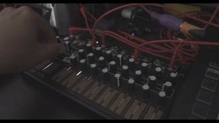 Studio Session: Drone and Chaotic Sequence with Instruo Cs-L, Make Noise Mimeophon and 0-CTRL