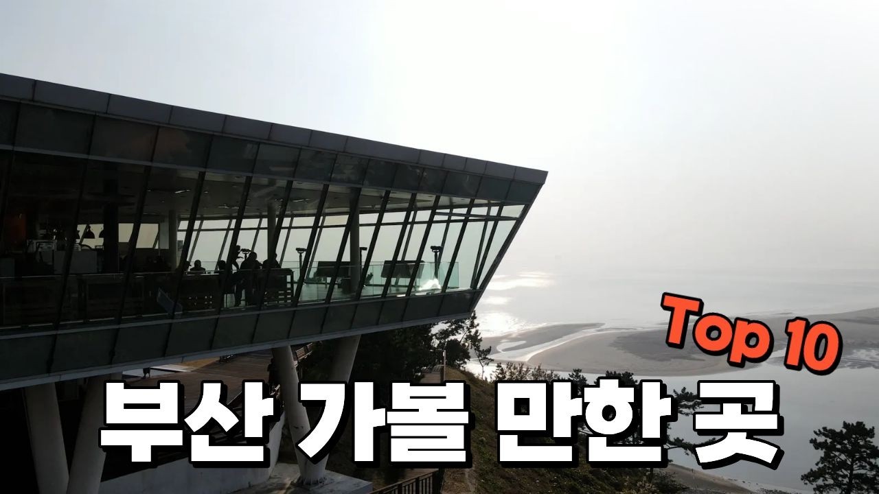 부산 지금 가야 합니다🚀 아시아 최초 전시 포함! 부산 핫플 10곳 총정리🌊 부산 여행 이 영상 하나면 끝! 지금 가야 하는 부산 명소 보고 가세요!