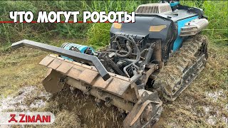 видео: Эти роботы заменят людей! картинка: Эти роботы заменят людей!