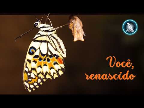 Você, renascido | Visualização guiada