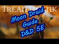 Moon Druid Guide D&D 5E