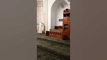الصلاه في الرحال في مسجد قباء 