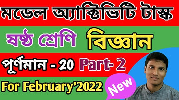 Class 6 Science Model Activity Task February,2022