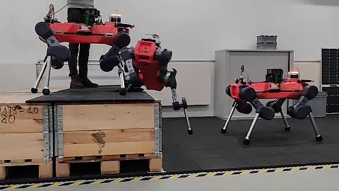 Advanced Skills by Learning Locomotion and Local Navigation End-to-End