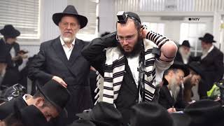 Thousands of Rabbis Pray for Israel at Sacred Site - QUEENS