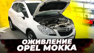 ЛЮБЛЮ И НЕНАВИЖУ / Оживление Opel Mokka