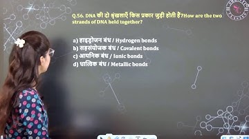 🔴RRB GROUP D Marathon Class 2025 | Science Marathon | MCQs For ALL EXAMS | Lavi mam