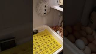 Day 18- removing the automatic turner