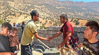 The eventful life of the Moslem family in the mountains. The story of an amazing day with the nomads