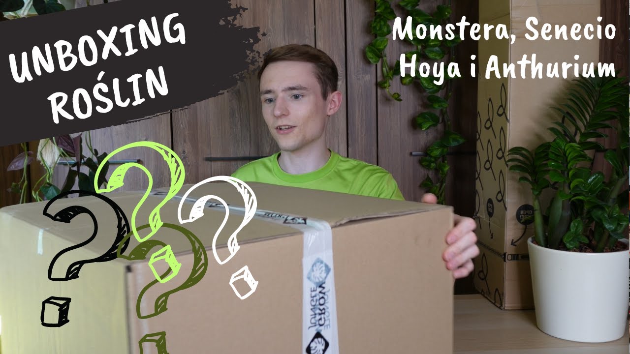 Unboxing roślin | Nowe rośliny w mojej kolekcji