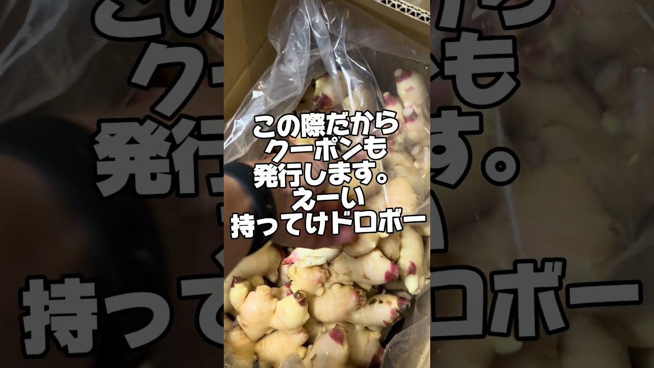 数量限定　少し訳あり新生姜　101 訳あり 新生姜 10kg : 山本商店ヤフー店 - 通販 - Yahoo