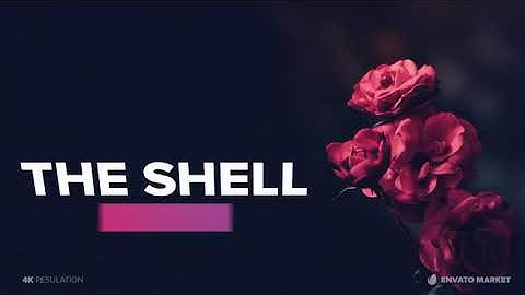 Minimal Lower Thirds | After Effects Titles - Envato elements