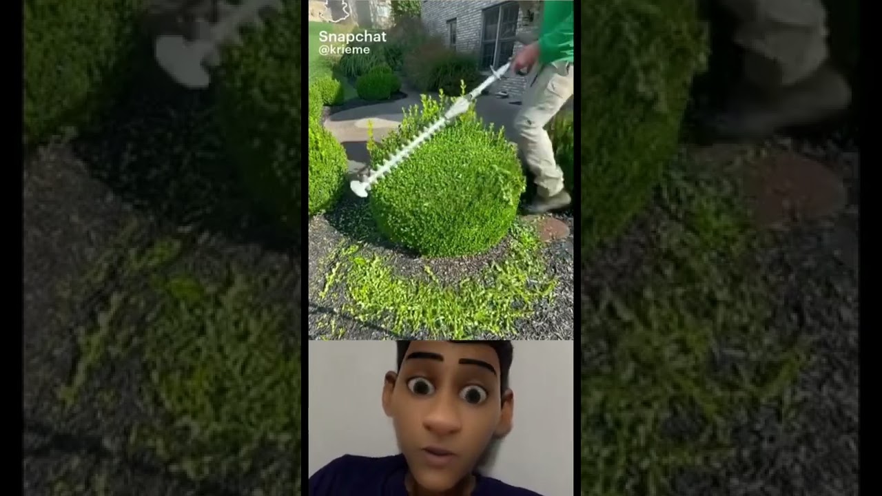 oddly satisfying grass cutting 👌😮 🤩