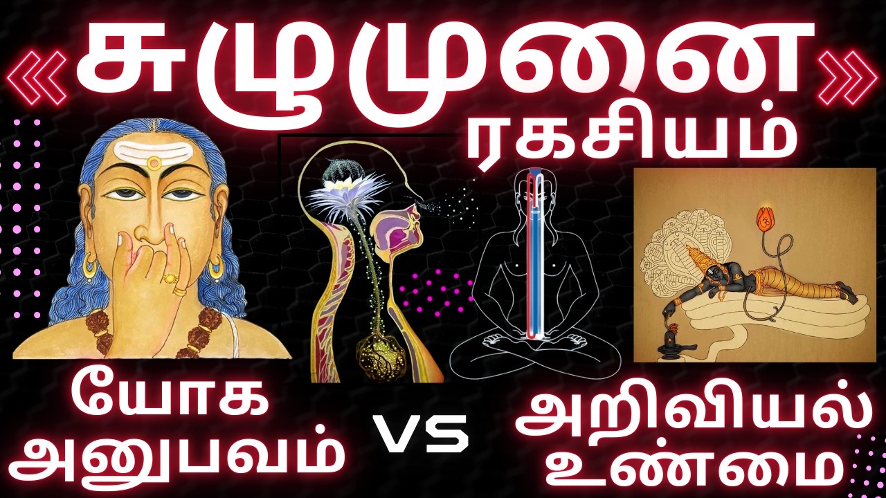 The Yogic Path Secret of Sushumna Nadi: The Central Channel of Spiritual Awakening in the Human Body