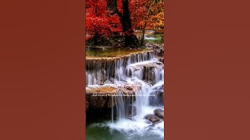 حالات واتس قران كريم 🍁﴿انا نحن،نزلنا الذكر وانا له لحافظون ﴾ 🍁 القارئ هزاع البلوشي🍁 سورة الحجر🍁