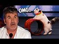 10 Incredible Animal Acts On America&#39;s Got Talent