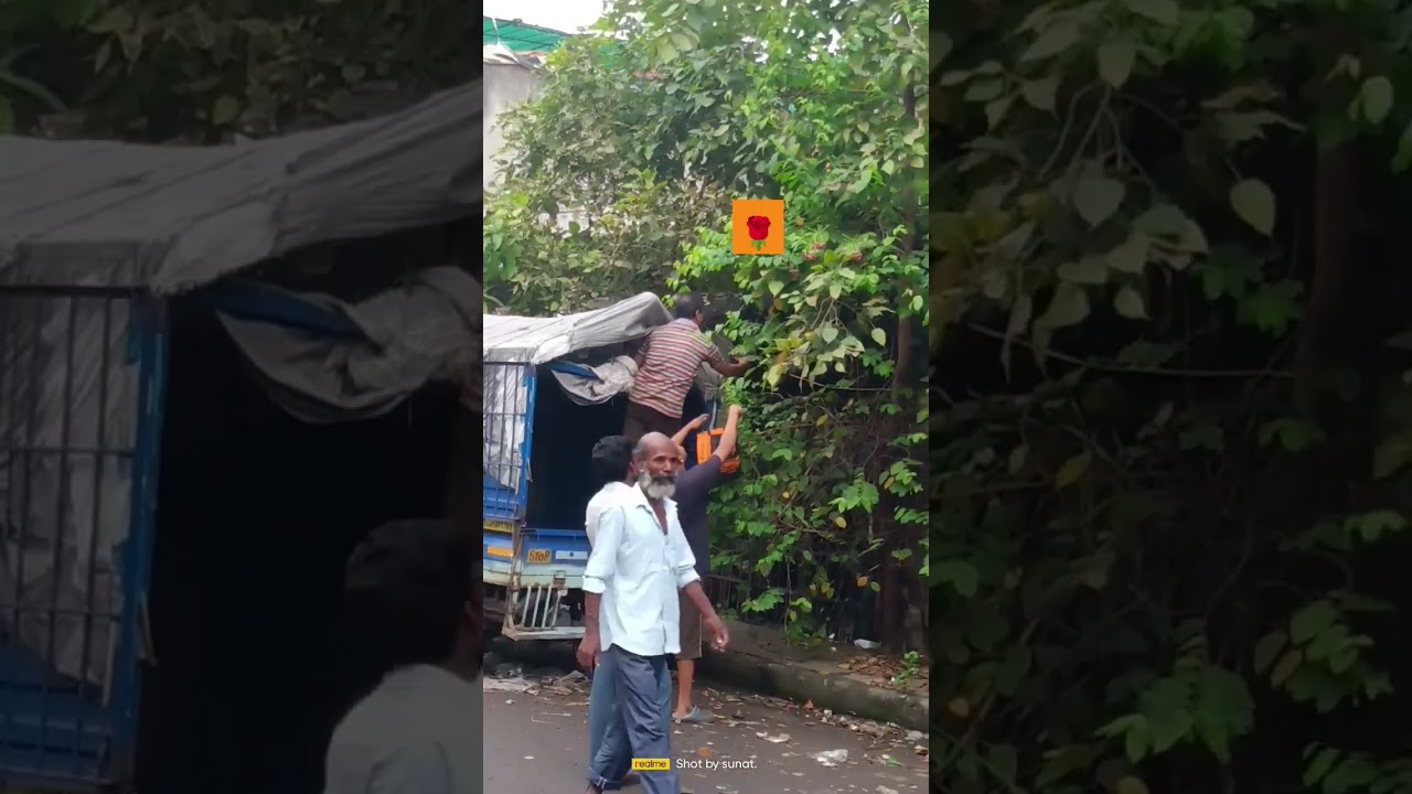 Phula chora mu 💐phula chora 🌹short video 