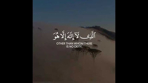 Surah Al Hashr 23-24 || سورہ حشر || सूरह अल हशरी || سورة الحشر