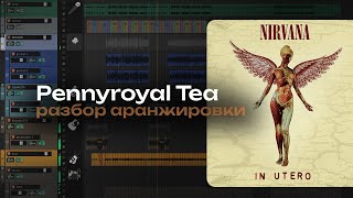 Разбор аранжировки Nirvana - Pennyroyal Tea