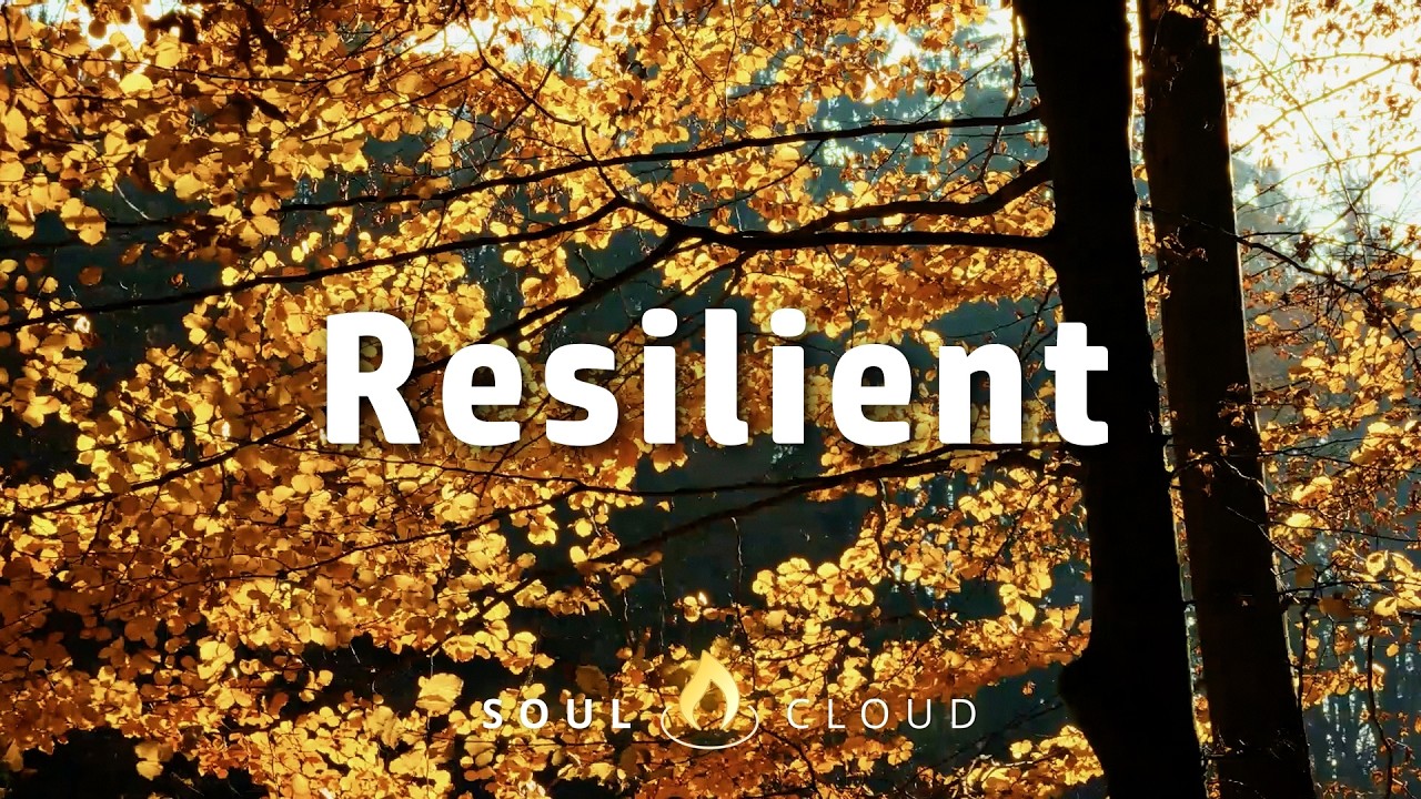 Resilience | Bible Reading | Book of James