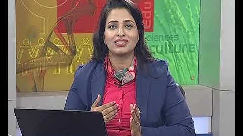 Herding Behaviour, Mean Reversal and  Noise Trading