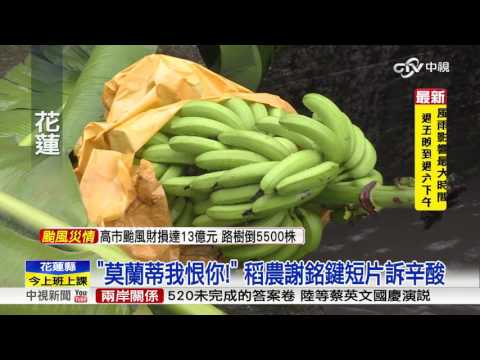 "莫蘭蒂我恨你!" 全台農損逾五億元│中視新聞 20160916
