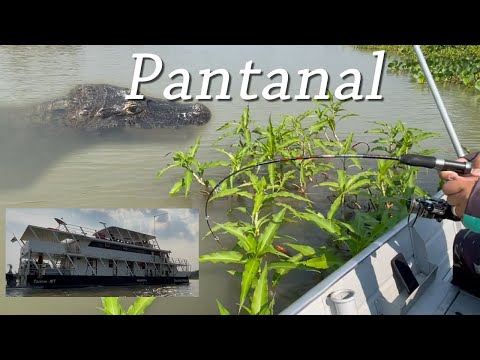 Pesca Pantanal em Barco Hotel Cáceres-MT, A vara bebeu água! Vimos Jacaré Turma Catalão, BH, Goiânia