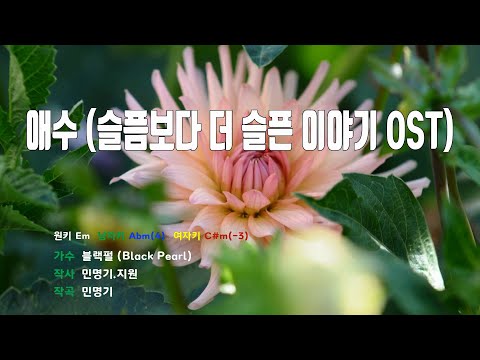 [은성 반주기] 애수(슬픔보다더슬픈이야기OST) - 블랙펄(Black Pearl)