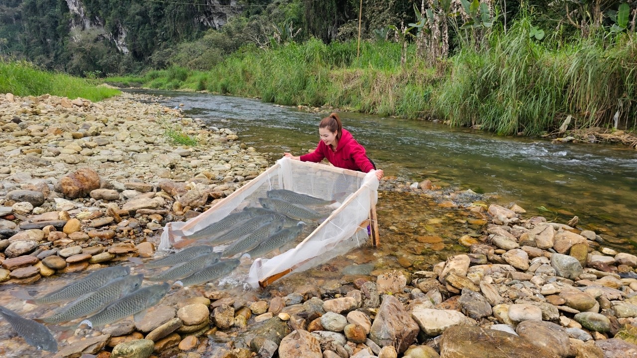The girl made a wooden fishing trap herself. Luckily, she caught a lot of fish.