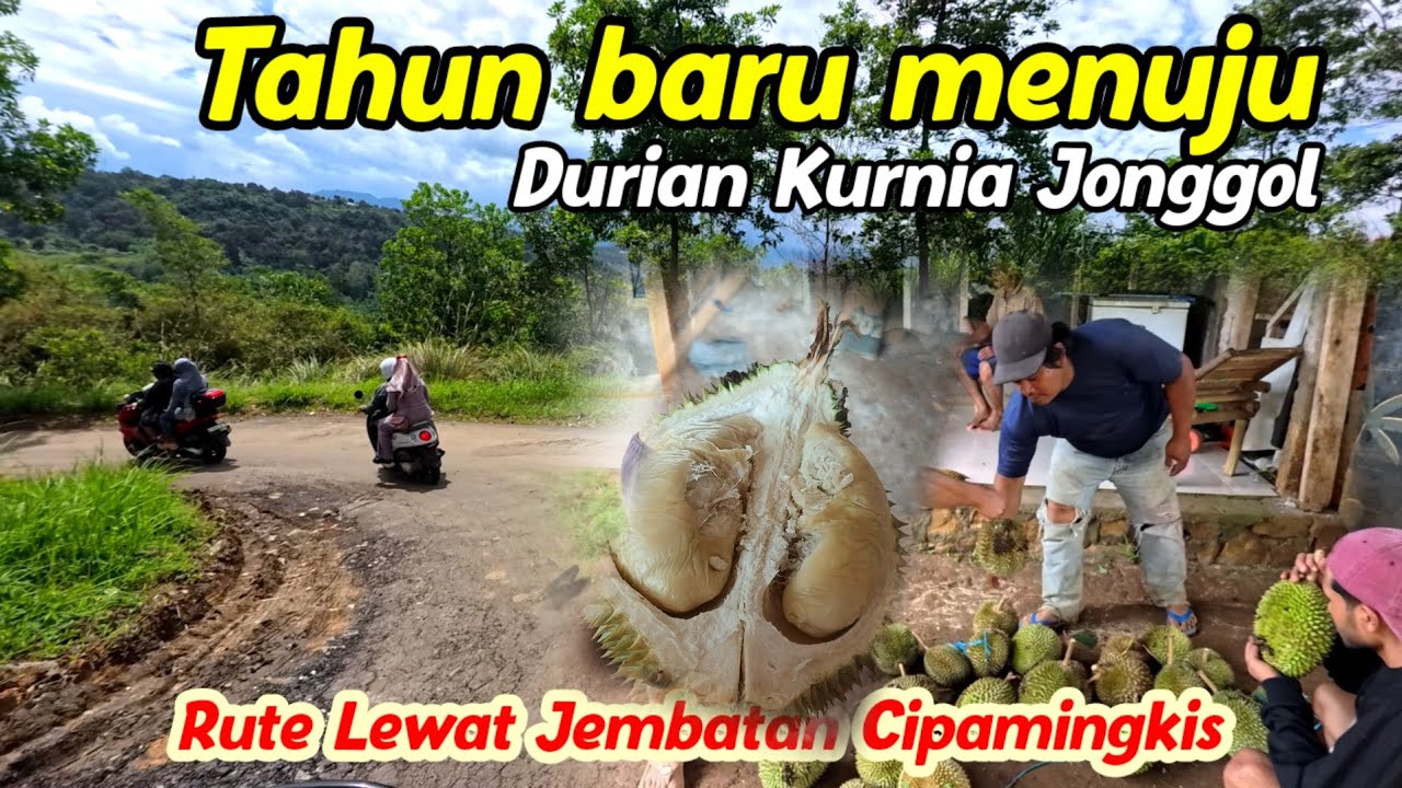 MENUJU DURIAN BANG KURNIA || REKOMENDASI LEWAT JEMBATAN CIPAMINGKIS || INI RUTE NYA ‼️