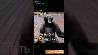 КОРОНАВИРУС - ВЕЛИКИЙ И УЖАСНЫЙ!!!