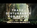 Michael Singer - Trade Disturbance for Peace