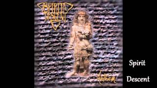 Spirit Descent - A Solitary King