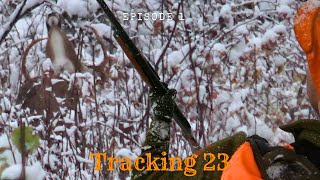 Big Buck Encounter Tracking in Snow