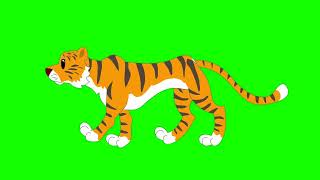 Tiger Green Screen Cartoon Video Green Echo Films
