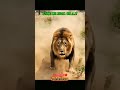 اكيد AI Lion Animals Comedy Tweening Viral هتضحك Funnymemes اكسبلور كوميديات 