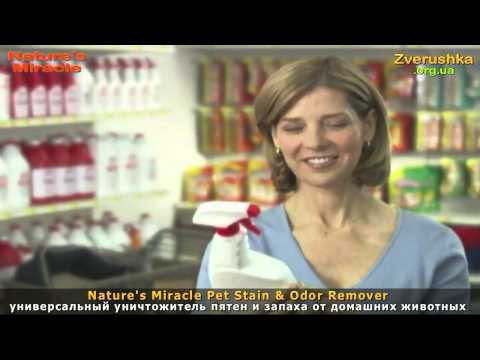 Уничтожитель пятен и запахов от домашних животных • Nature's Miracle Уничтожитель пятен и запахов от домашних животных • Nature's Miracle