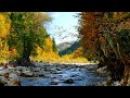 Minnestoa Tribes - Native American Flute Music, Relax, Sleep, Calm, Meditation