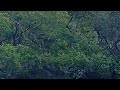 She faded into the depths of sorrow/ അഴലിൻറെ ആഴങ്ങളിൽ അവൾ മാഞ്ഞുപോയി English version 