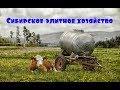 Farming simulator 2019 Сибирское элитное хозяйство