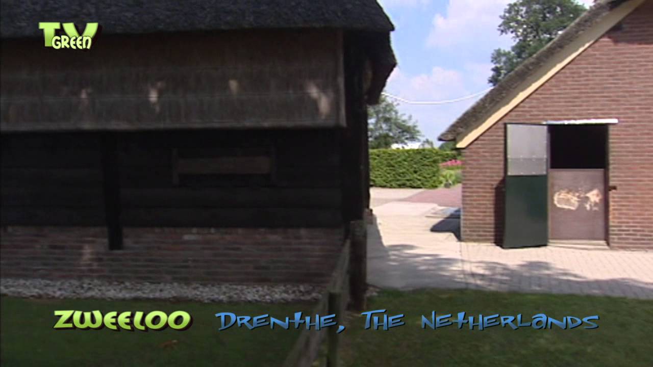 Roman Church & Saxon farm houses in Zweeloo, Drenthe