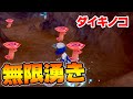 【簡単】「ダイキノコ」を”無限”に湧かすことができる効率周回法をためしてみた結果【鎧の孤島／ポケモン剣盾】