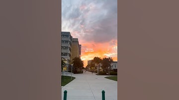 Forever in love with USF 💚