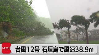 台風12号が沖縄に接近　石垣島で最大瞬間風速38.9メートル（2022年9月12日）