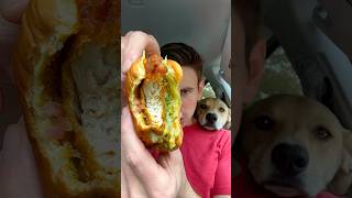 Hot Murga Indian Fried Chicken Review in New Haven, Connecticut #foodreview #shorts