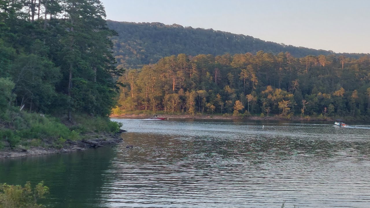 Simple Life Reclaimed Is Going Live YouTube simple-life-reclaimed-is-going-live-youtube